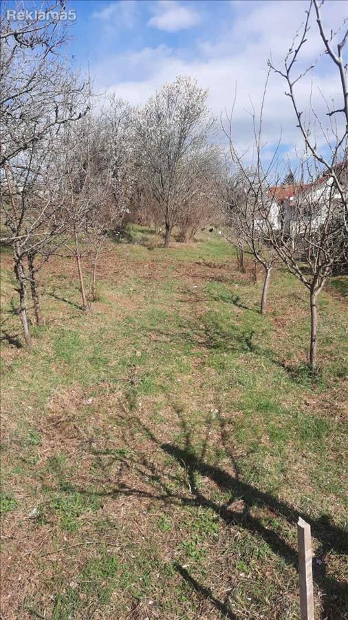 Се продава плац во Долно Соње